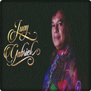 Juan Gabriel Canciones APK