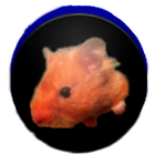 Farting Hamster - Lite icône