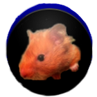 Farting Hamster - Lite 圖標