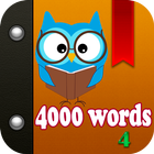 Learn 4000 English Words 4 icon