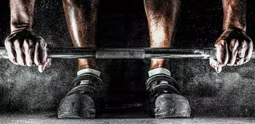 MMA Training Guide