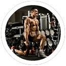 Full Body Workouts APK
