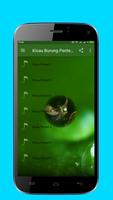 Pentet Birds chirping Madura screenshot 1