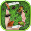 Cafard dans le téléphone APK