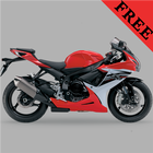 Best Race Motorcycles FREE আইকন