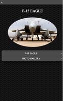 F- 15 Eagle самолета бесплатно постер