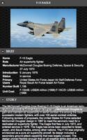 F-15 Eagle Aircraft FREE capture d'écran 1