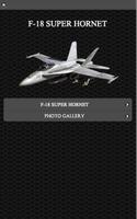 F-18 Fighter Aircraft  FREE پوسٹر