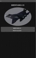 Shenyang J-31 FREE poster