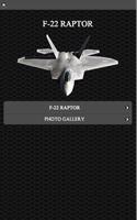 F-22 Stealth Fighter FREE Affiche