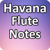 Havana Flute Notes APK