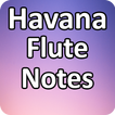 Havana Flute Notes