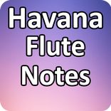 Havana Flute Notes