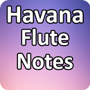 Havana Flute Notes-APK