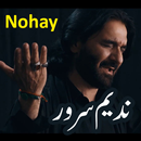 Nadeem Sarwar Nohay-APK