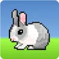 Jumpy Bunny