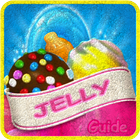 Tips Candy Crush Jelly Saga 图标