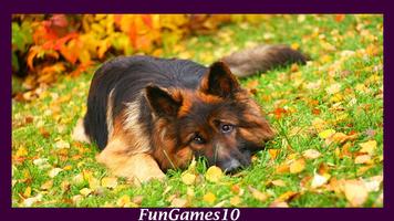 German Shepherd Wallpaper-poster