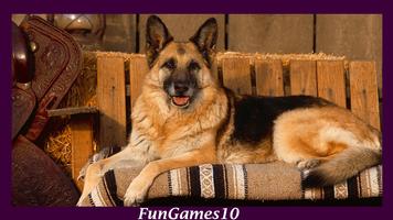 German Shepherd Wallpaper syot layar 1