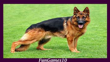 German Shepherd Wallpaper 截圖 2