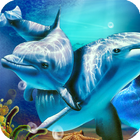 Dolphin HD Live Wallpaper biểu tượng