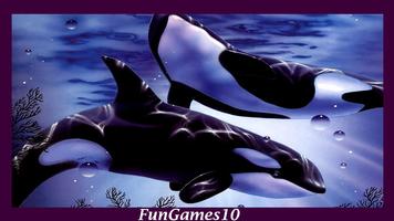 Orca Wallpaper پوسٹر