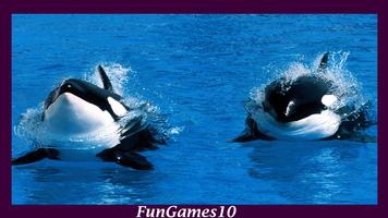 Orca Wallpaper اسکرین شاٹ 3