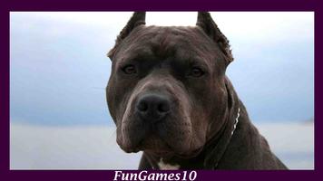 Pitbull Dog Wallpaper screenshot 1