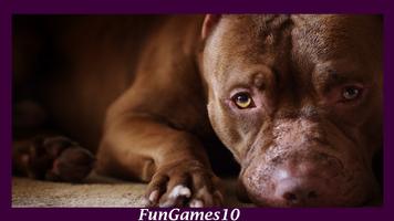 Pitbull Dog Wallpaper 截圖 3