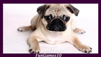 Pug Dog Live Wallpaper اسکرین شاٹ 2