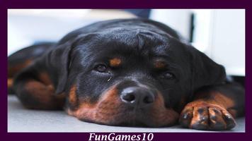 Rottweiler Dog Wallpaper اسکرین شاٹ 3