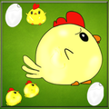 Chicken find Egg