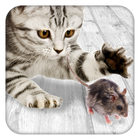 Games for cat Mouse ikon