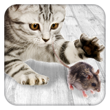 Giochi per gatto Mouse