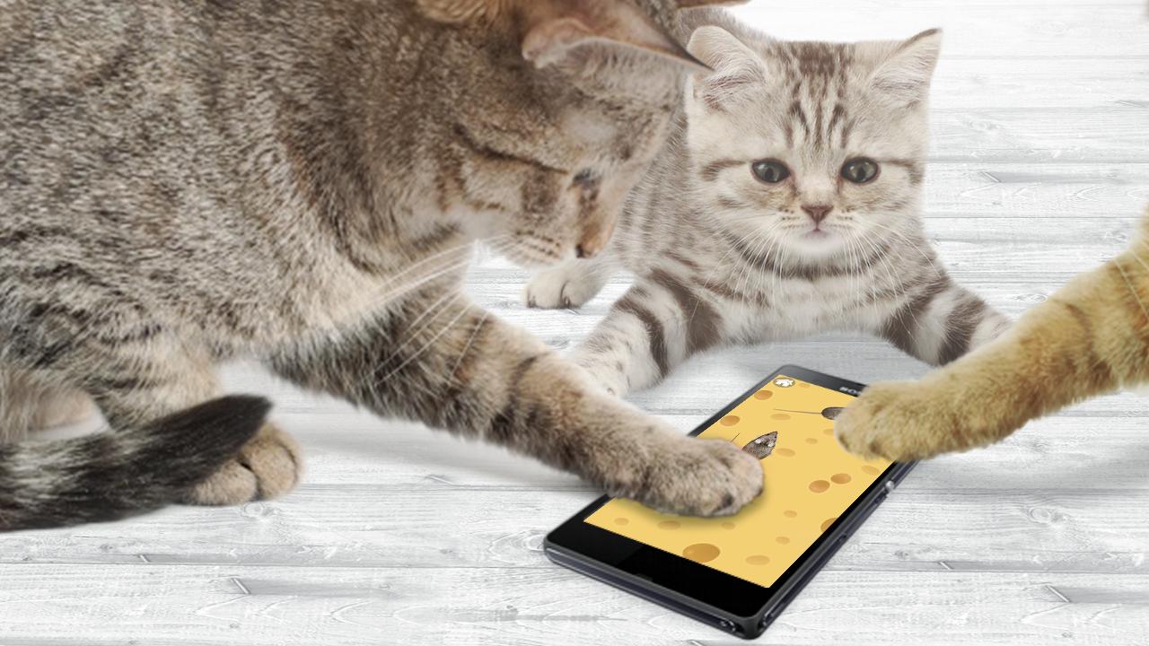 Jeux pour chat de la Souris pour Android - Téléchargez l'APK