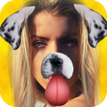 funny dog face in photo