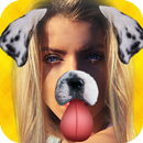funny dog face in photo APK