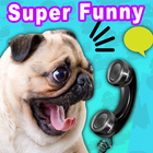 Super Funny Videos - Hilarious And Cute Animals 圖標