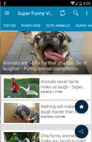 Super Funny Videos - Hilarious And Cute Animals screenshot 1