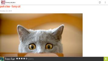 Daily funny cat pictures! capture d'écran 2