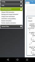 FAS HTML CSS JS capture d'écran 3
