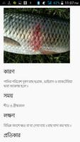 Fish Advice স্ক্রিনশট 1