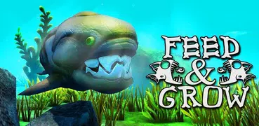 Feed And Grow Fish Simulator