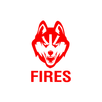 APK FIRES HD