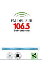 FM Del Sur 106.5 Poster