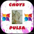 Choys Pulsa