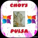 Choys Pulsa icono