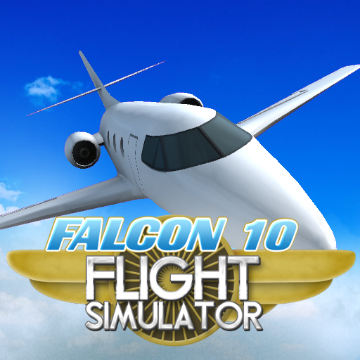 Falcon 10 Flight Simulator