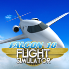 Icona Falcon 10 Flight Simulator