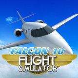 Icona Falcon 10 Flight Simulator
